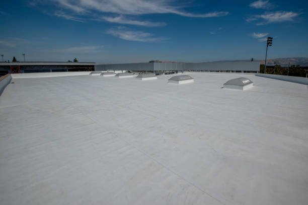 Best Roof Leak Repair  in Plum Grove, TX