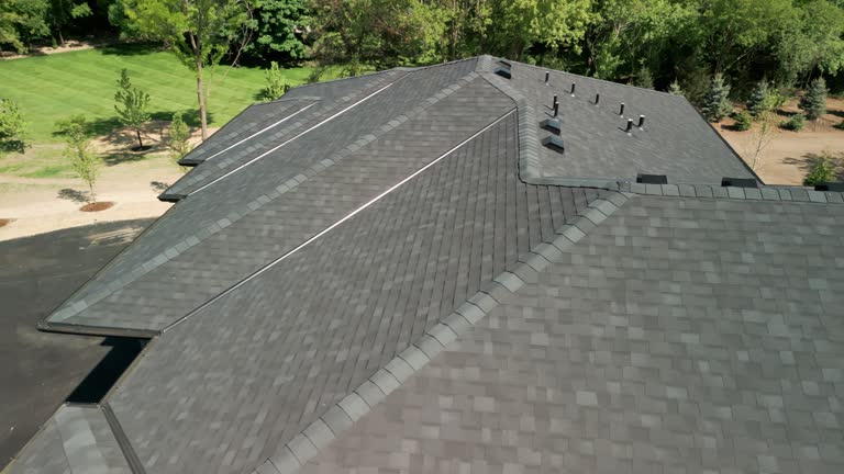 Best Roof Coating and Sealing  in Plum Grove, TX