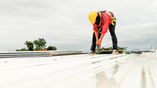 Best Sheet Metal Roofing  in Plum Grove, TX